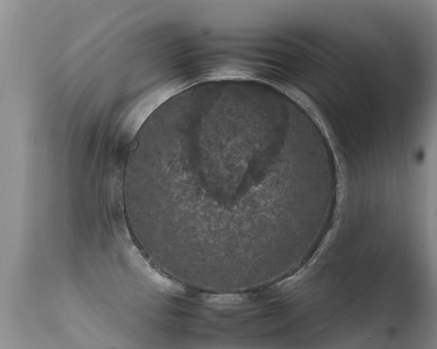 X0000112211337200908141449