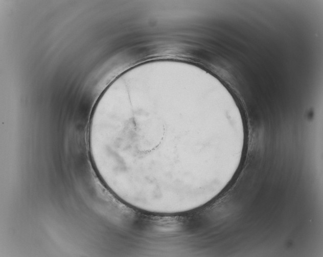 X0000112211338200908141449