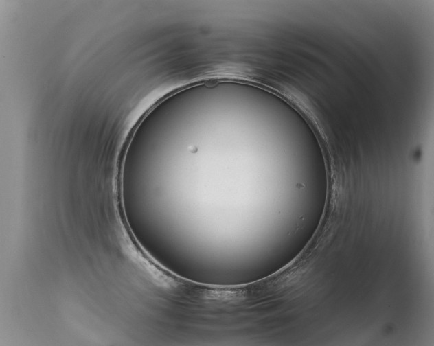 X0000112211339200908141449