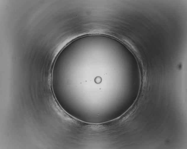 X0000112211340200908141449