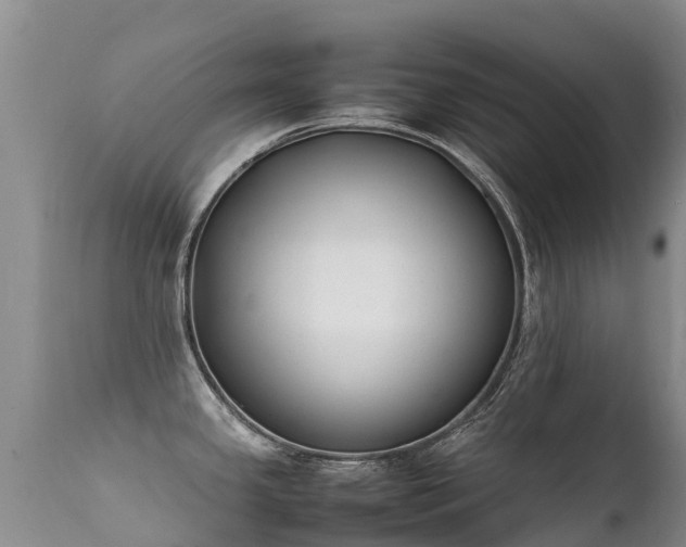 X0000112211341200908141449