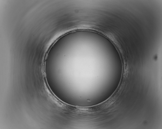 X0000112211342200908141449