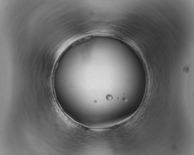 X0000112211344200908141449