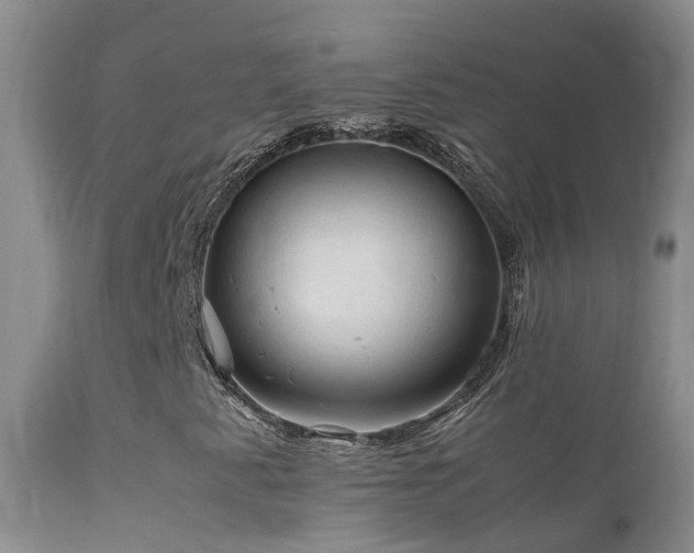 X0000112211345200908141448