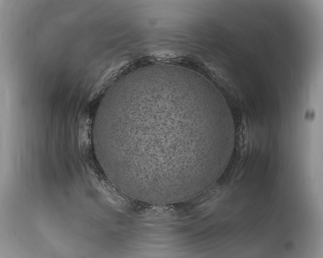 X0000112211346200908141448