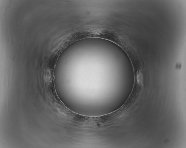 X0000112211347200908141448