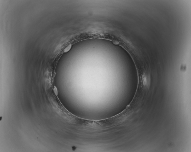 X0000112211348200908141448