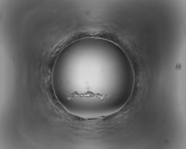 X0000112211349200908141448