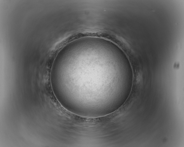 X0000112211350200908141448