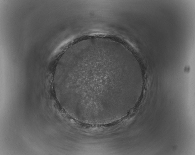 X0000112211351200908141448