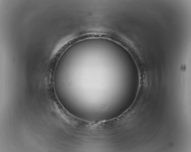 X0000112211352200908141448