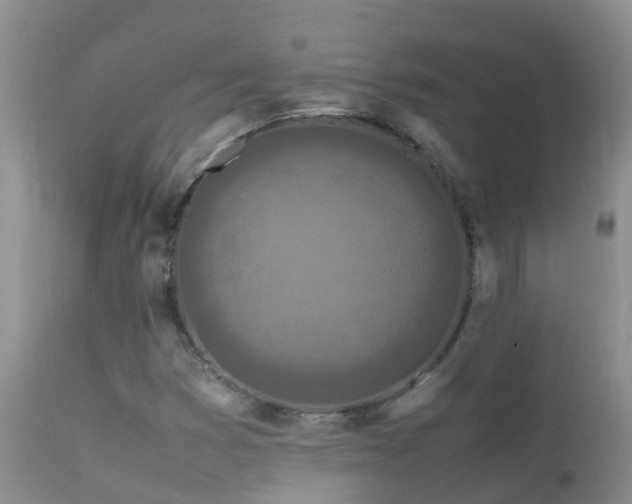 X0000112211353200908141448