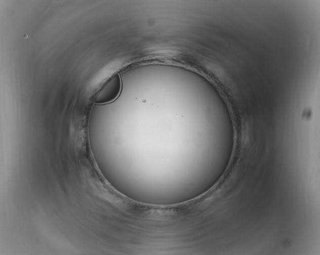 X0000112211354200908141448