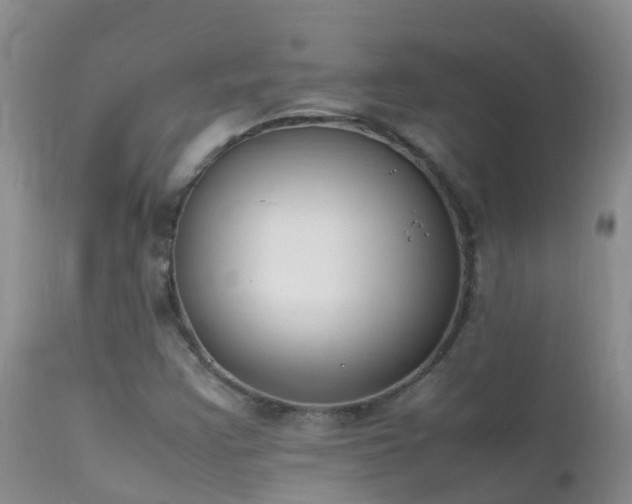 X0000112211355200908141448