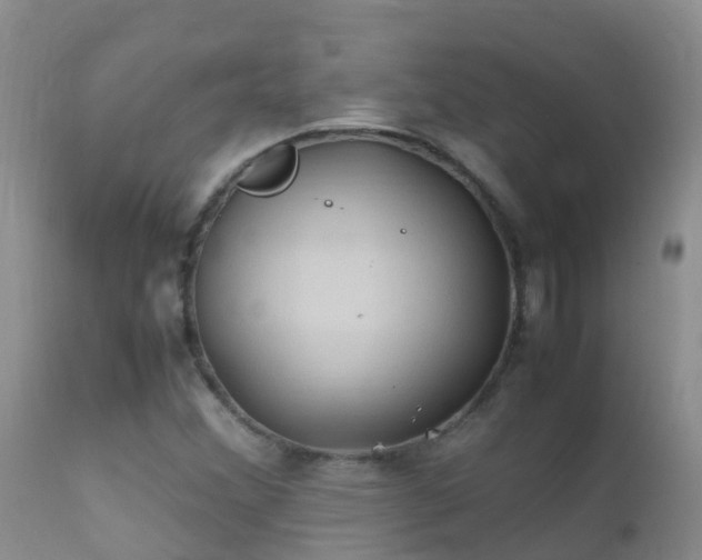 X0000112211356200908141448