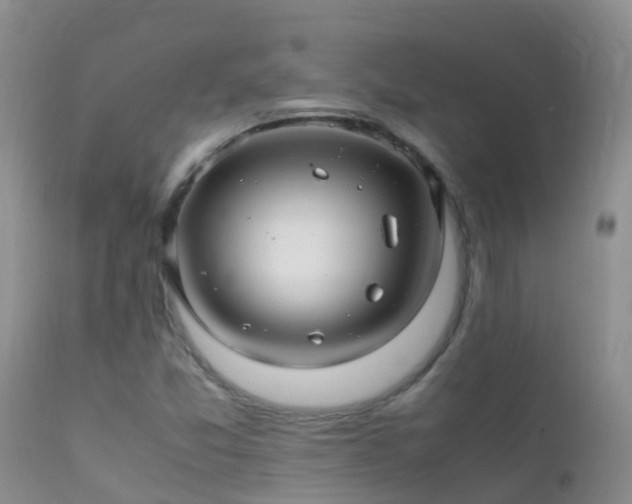 X0000112211357200908141448