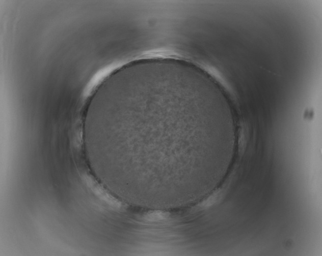 X0000112211358200908141448