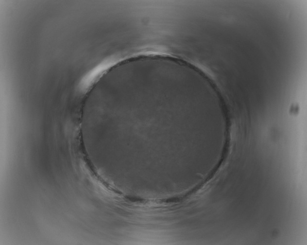 X0000112211359200908141448