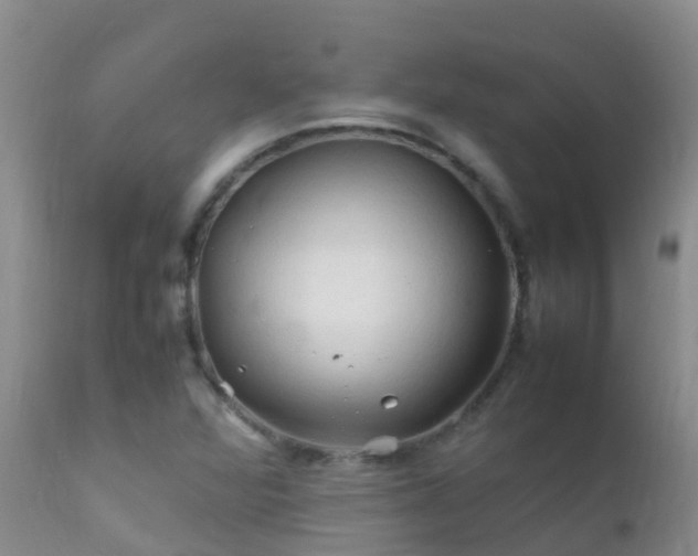 X0000112211360200908141448