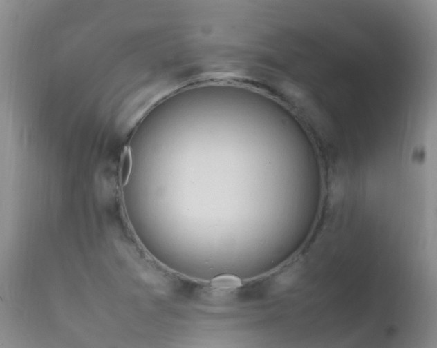 X0000112211361200908141448