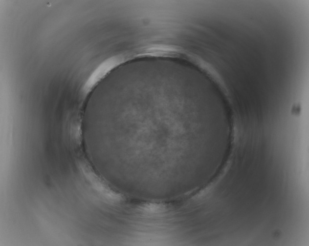 X0000112211362200908141448