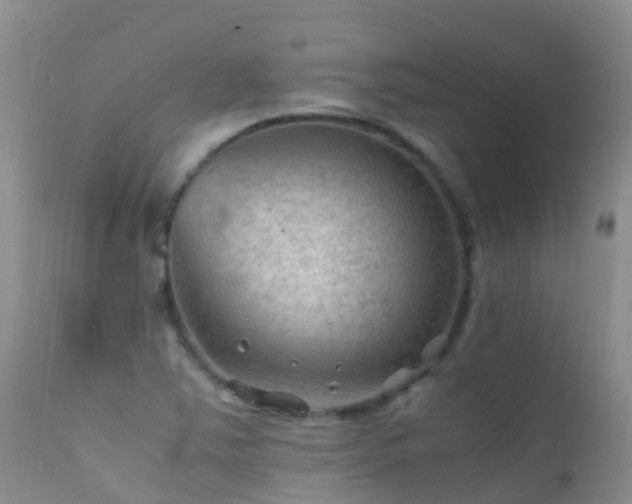 X0000112211363200908141448