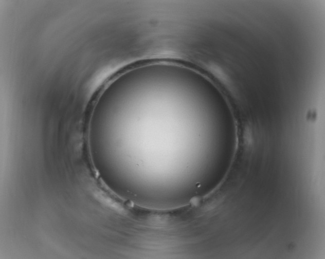 X0000112211364200908141448