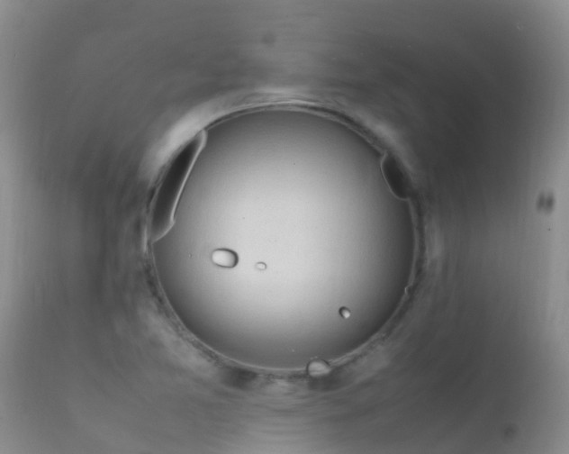 X0000112211365200908141448