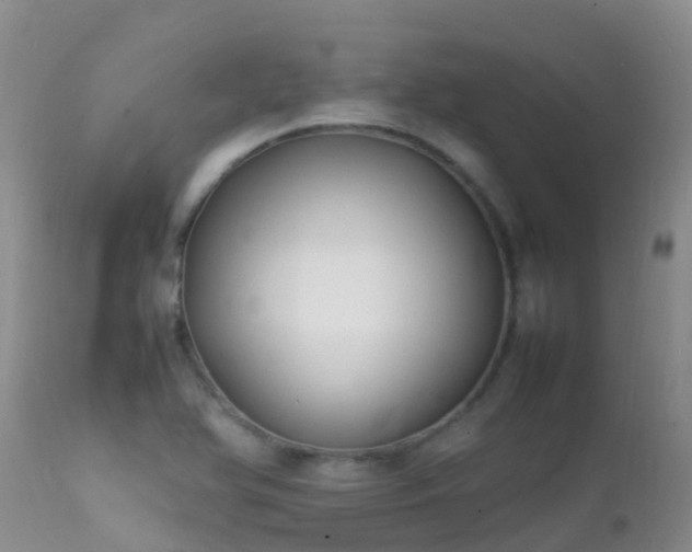 X0000112211366200908141448