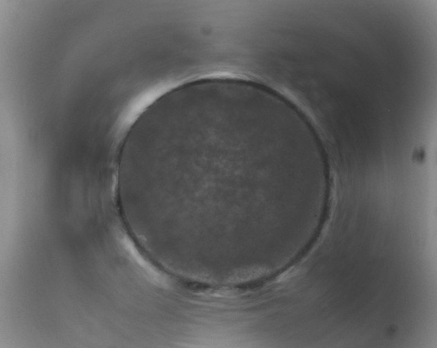 X0000112211367200908141448