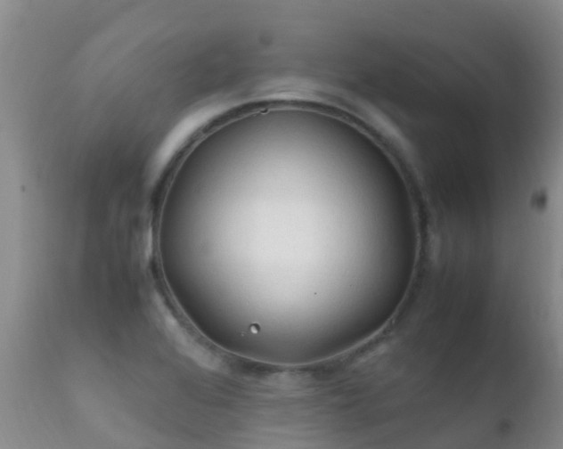 X0000112211368200908141448