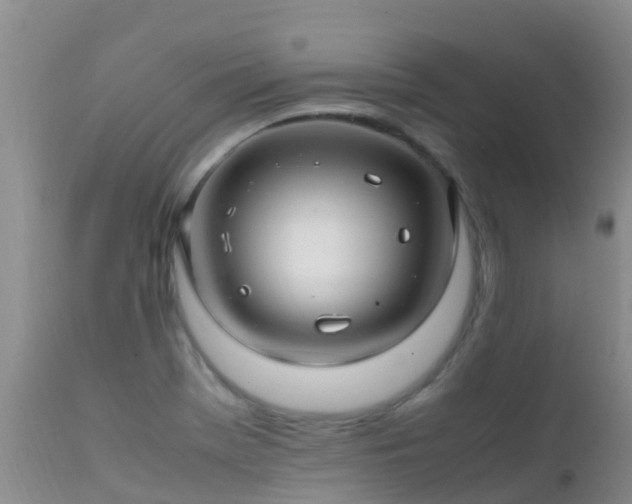 X0000112211369200908141448