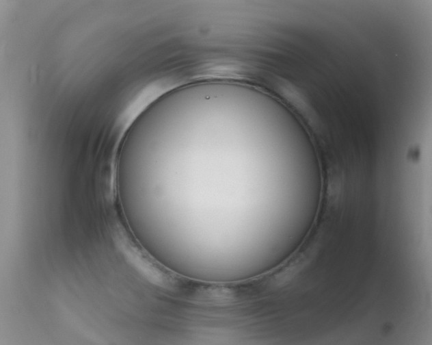 X0000112211370200908141448