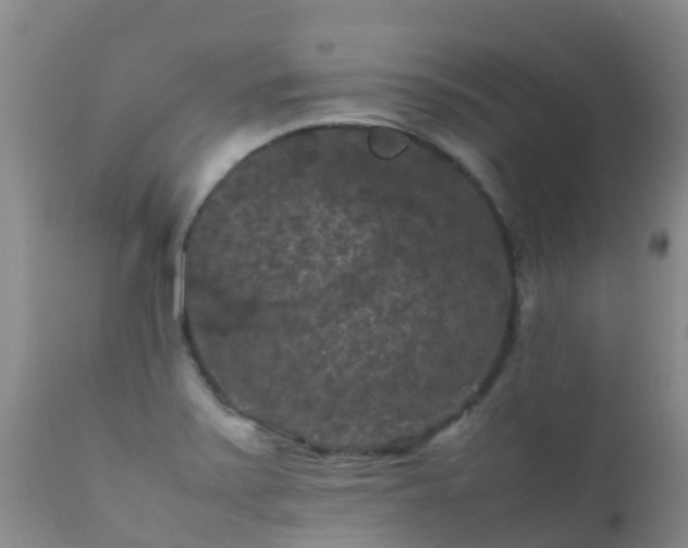 X0000112211371200908141448