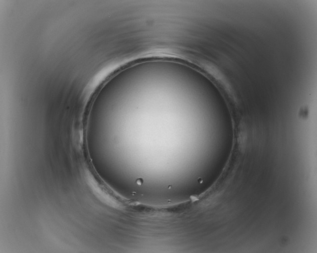 X0000112211372200908141448