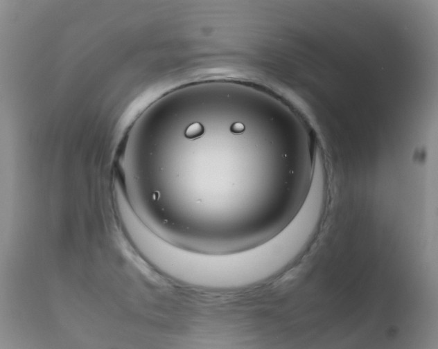 X0000112211373200908141448