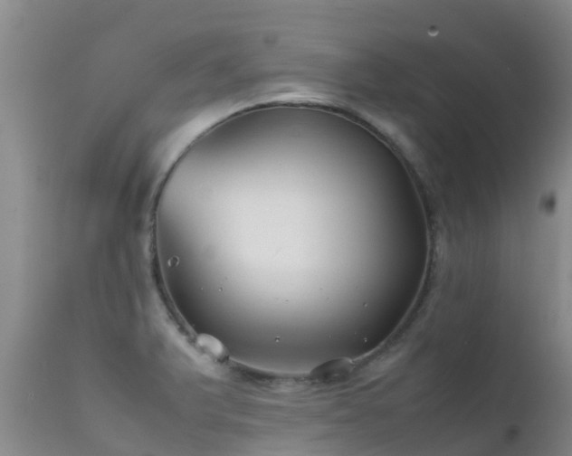 X0000112211375200908141448