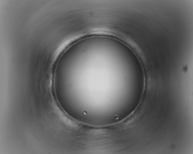 X0000112211376200908141448