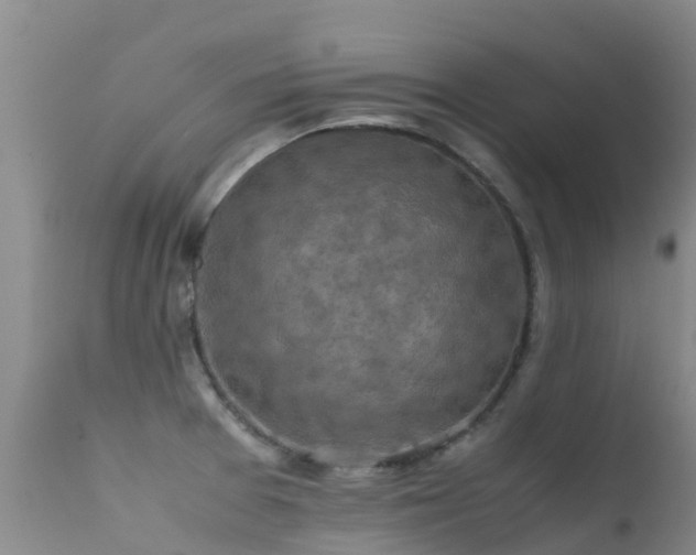 X0000112211377200908141448