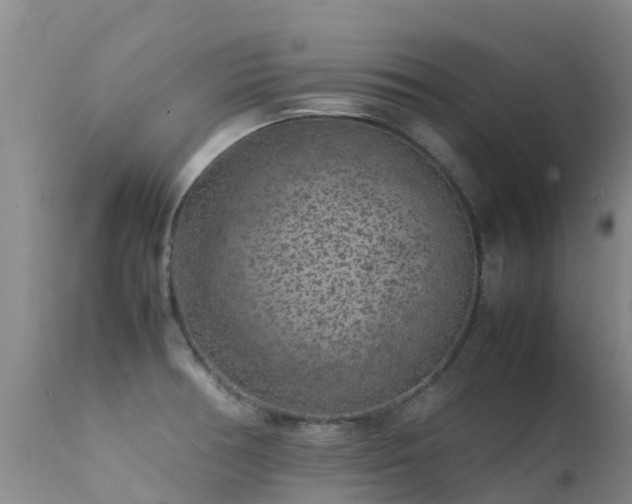 X0000112211378200908141448