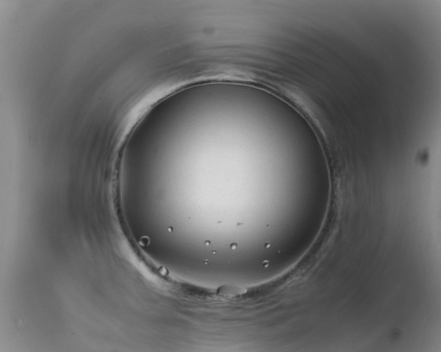 X0000112211379200908141448