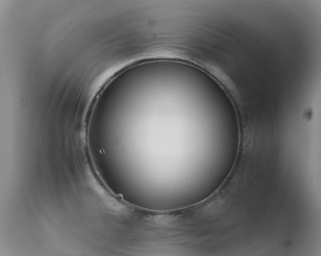 X0000112211380200908141448