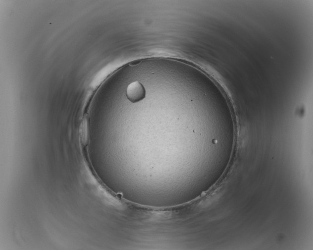 X0000112211381200908141448