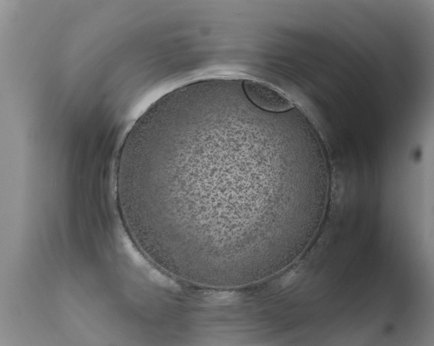 X0000112211382200908141448