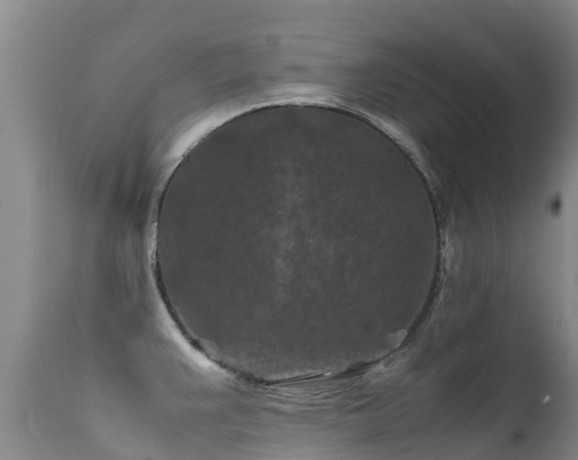 X0000112211383200908141447