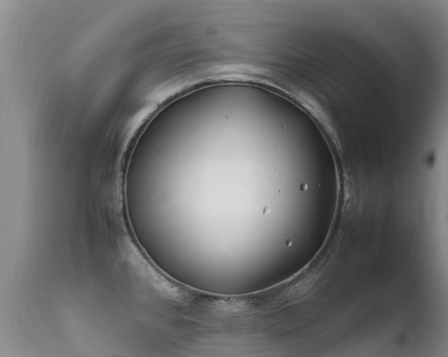 X0000112211384200908141447