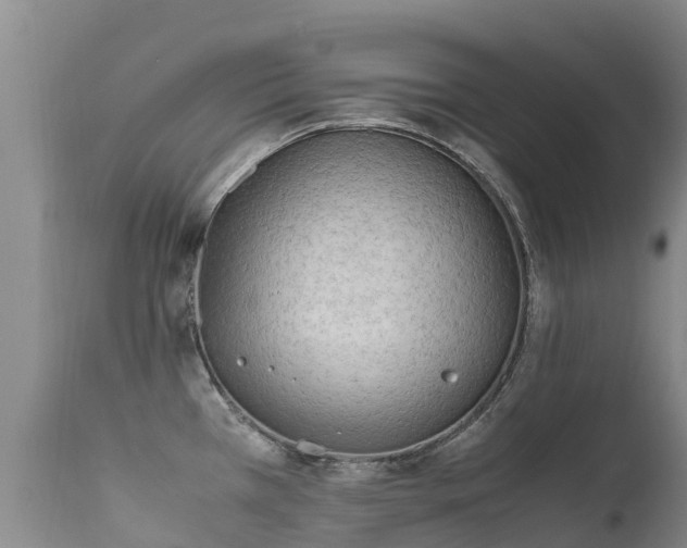 X0000112211385200908141447