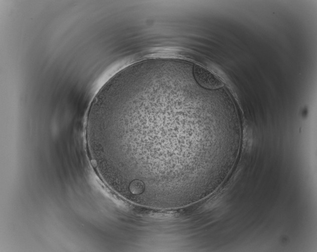 X0000112211386200908141447