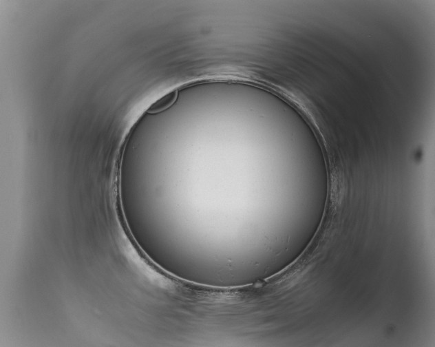 X0000112211387200908141447