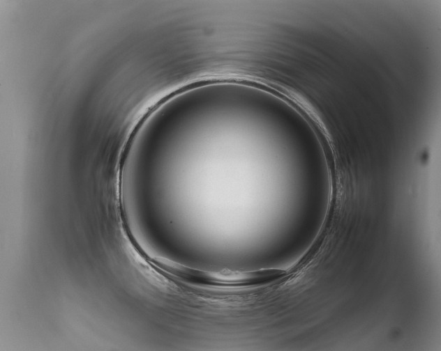 X0000112211388200908141447